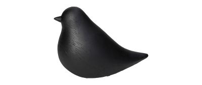 Bird Black
